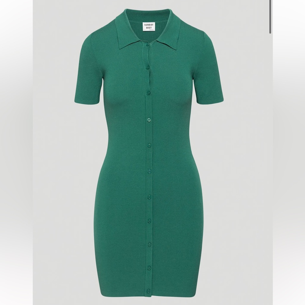 Aritzia Sunday Best Cece Mini Dress
